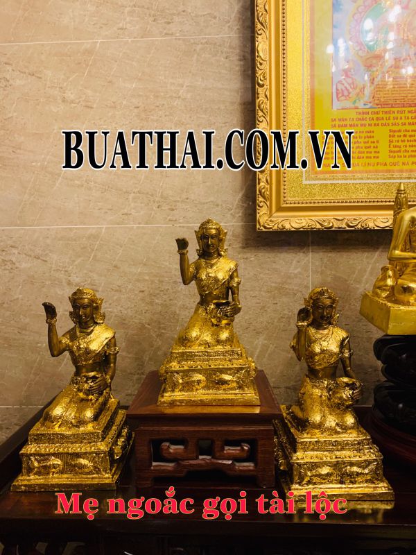 Nàng ngoắc Kwak và những điều chưa biết về nàng ngoắc ?