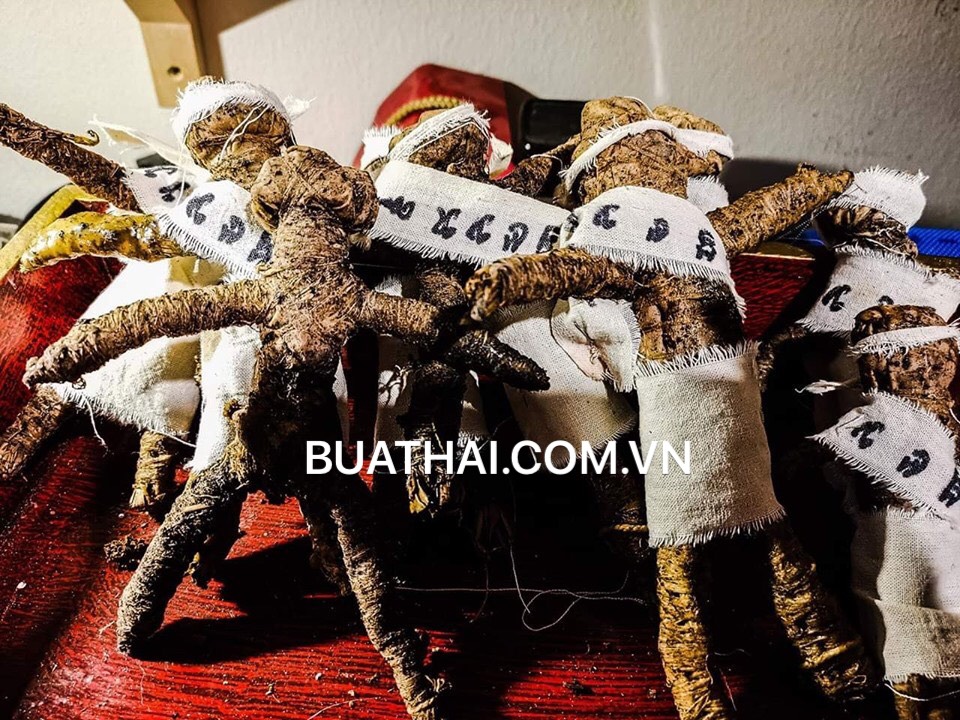 BÙA HUNPAYON HÌNH NHÂN BẢO VỆ